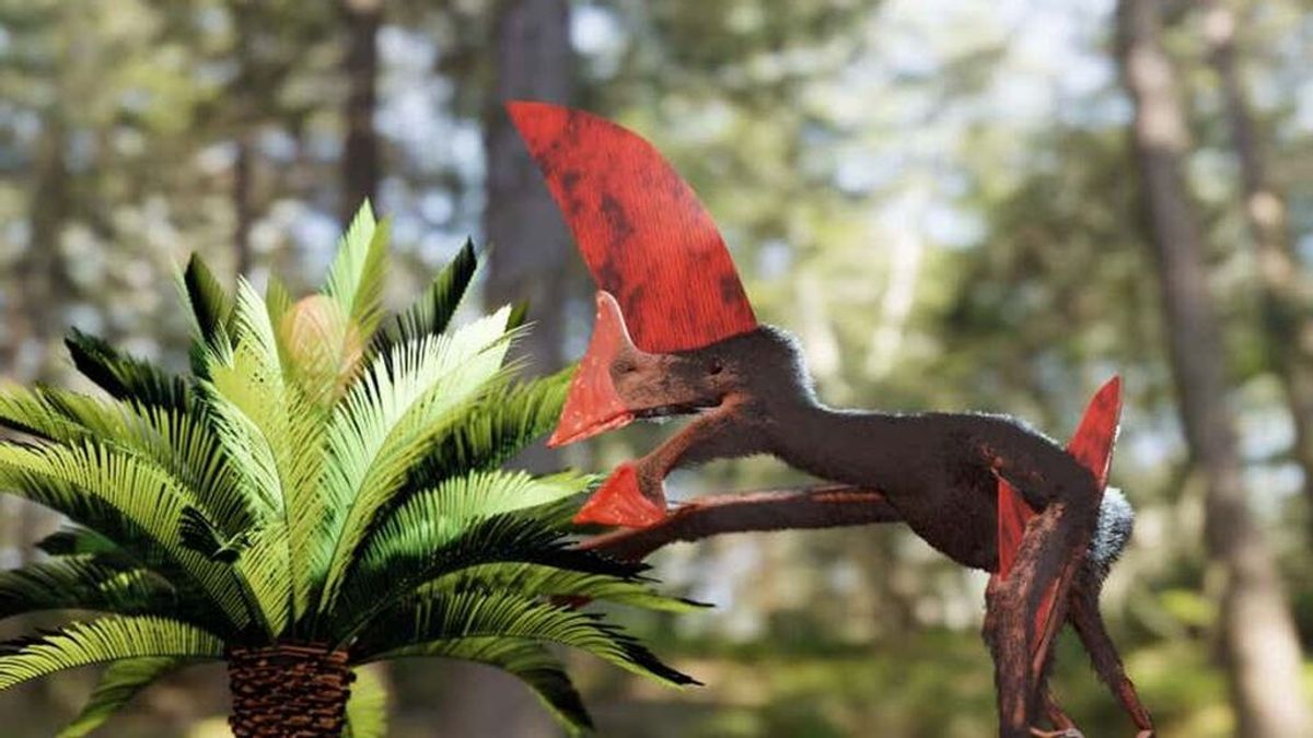 Una redada policial en Brasil salva el fósil reptil volador de 100 millones de años desconocido