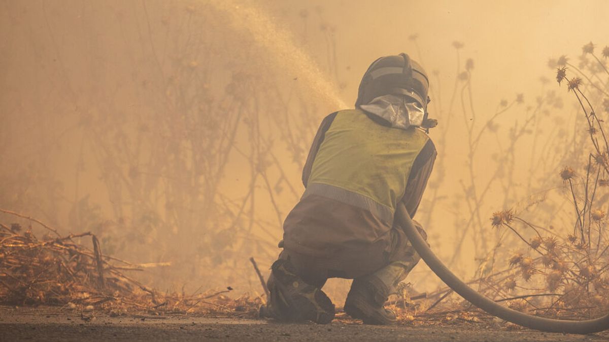 Bomberos trabajando en la extinción de un incendio forestal Bomberos trabajando en la extinción de un incendio forestal