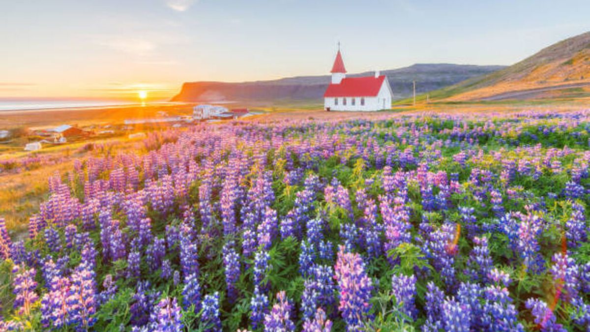 Islandia roza los 30 grados en su día más caluroso en 13 años