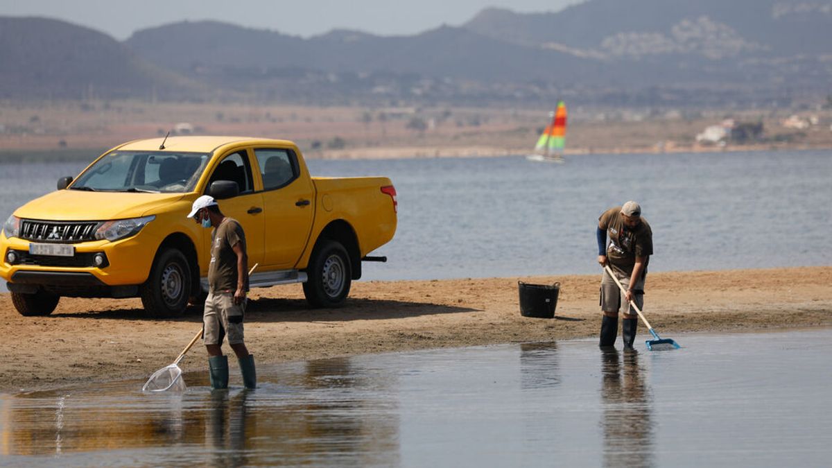 Ribera asegura que hay 317 millones presupuestados para la recuperación del Mar Menor Ribera asegura que hay 317 millones presupuestados para la recuperación del Mar Menor
