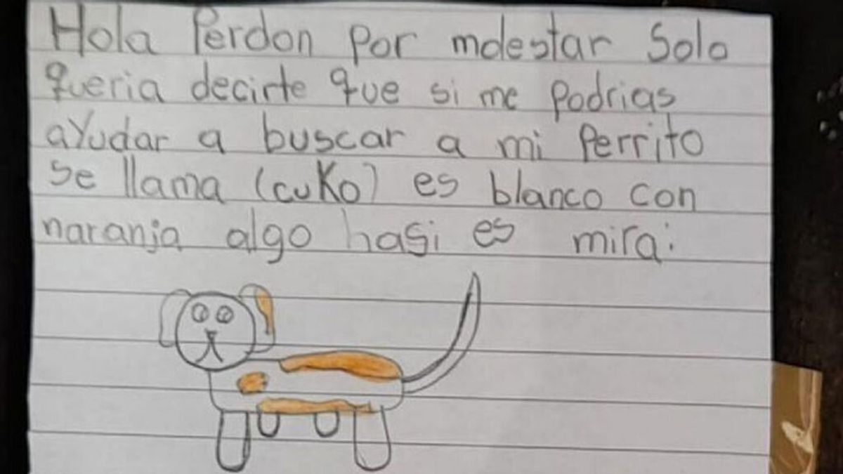El cartel dibujado por una niña para buscar a su perro enternece a las redes sociales