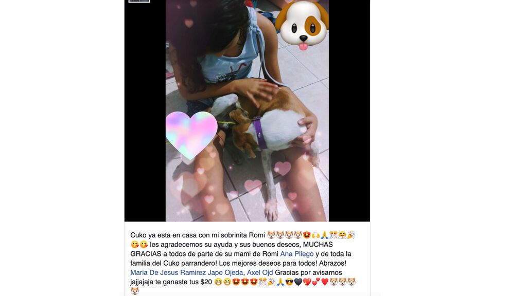 Niña dibuja un cartel para encontrar a su perro perdido