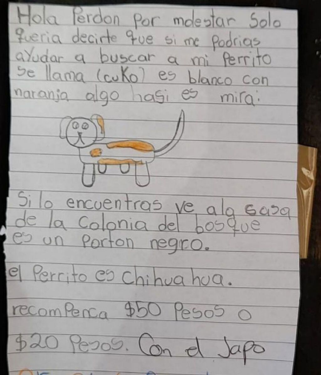 Carta Cuko: perro perdido
