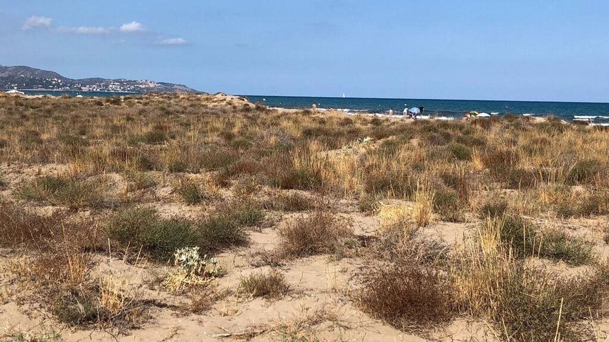 Castellón prohíbe el baño en sus playas por la rotura de un colector de la red de alcantarillado Castellón prohíbe el baño en sus playas por la rotura de un colector de la red de alcantarillado
