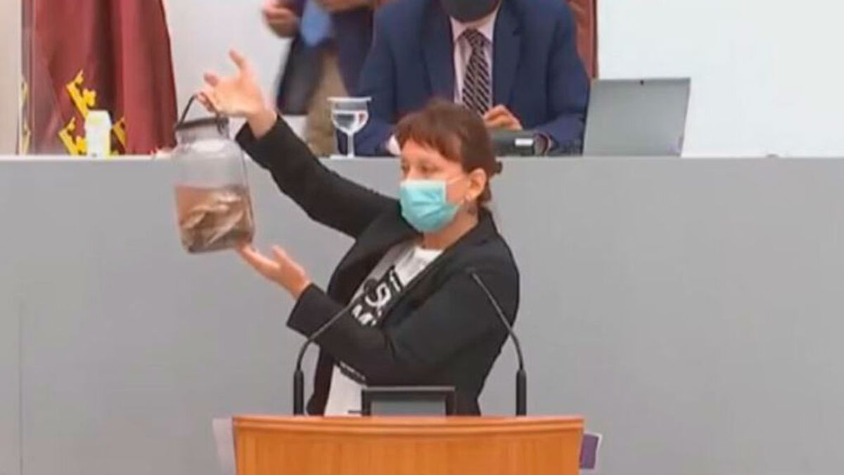 Diputada Podemos en la Asamblea de Murcia Diputada Podemos en la Asamblea de Murcia