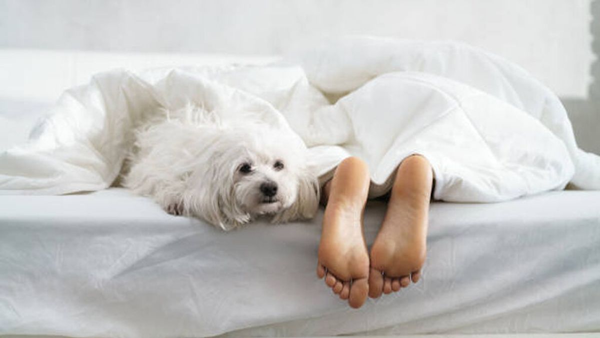 Dormir con un pie fuera de la cama: por qué algunas personas lo hacen