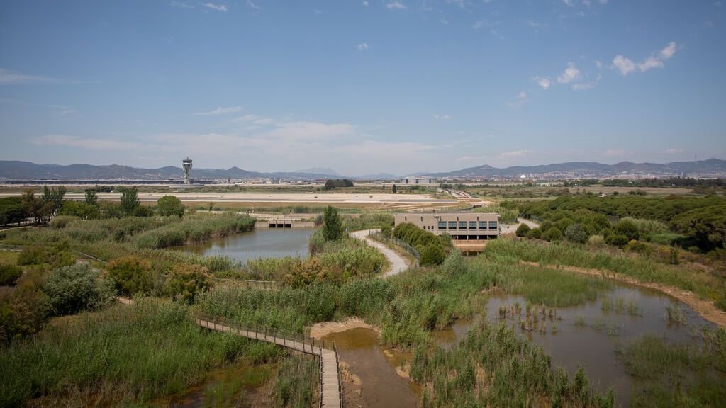 Aragonès exige a Aena que rectifique la ampliación del aeropuerto del Prat para respetar La Ricarda
