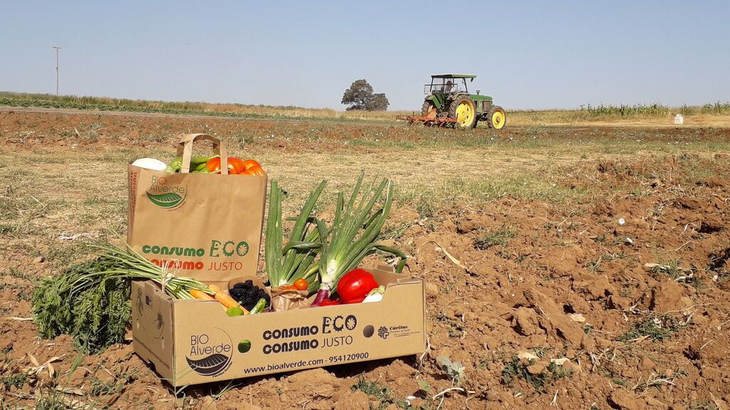 caja_tractor (1)