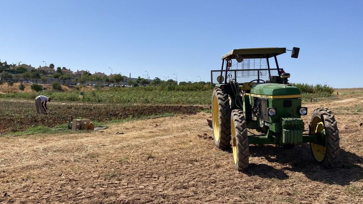 Bioalverde: la empresa del respeto y la justicia Bioalverde: la empresa del respeto y la justicia