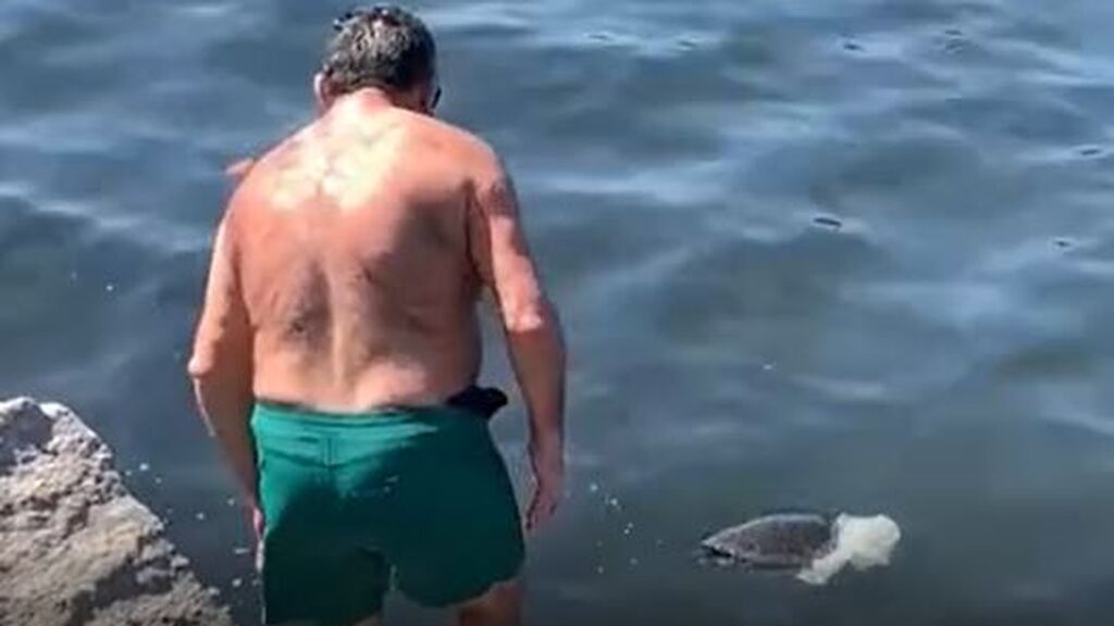 Un hombre intenta salvar a una tortuga en Río de Janeiro