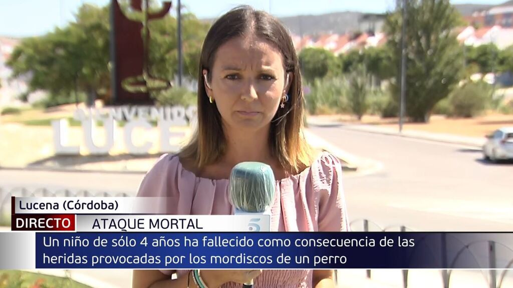 Muere un niño de cuatro años tras ser mordido por un perro en Lucena, Córdoba