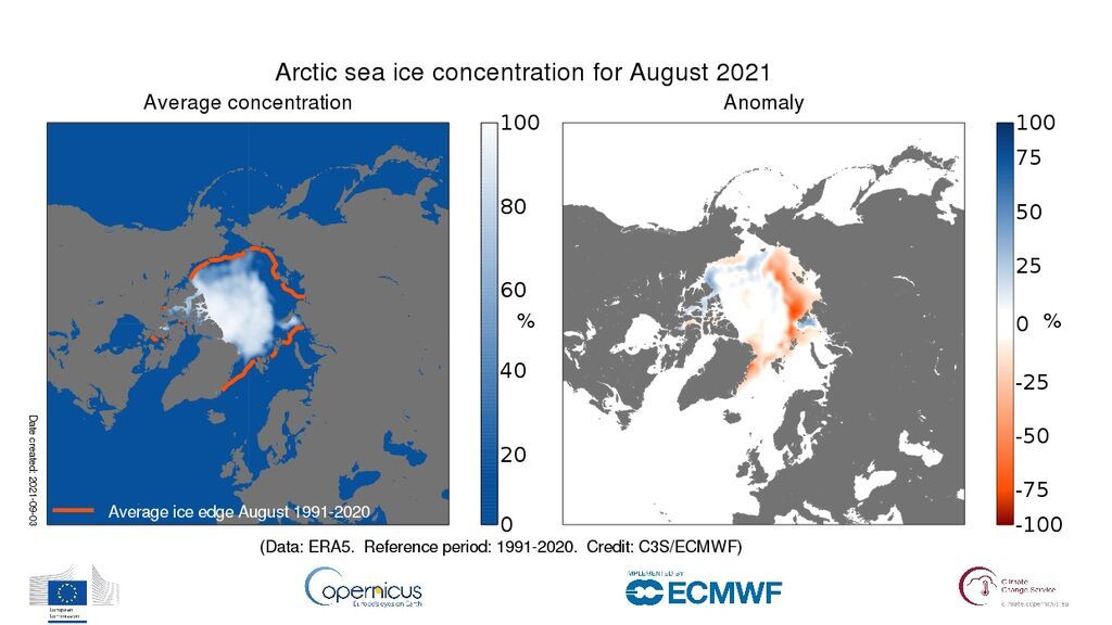 seaice