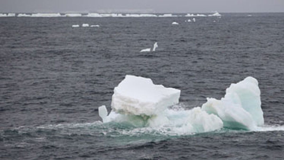 Un estudio del hielo marino de la Antártida en los últimos 10.000 años predice el impacto de los cambios del placton