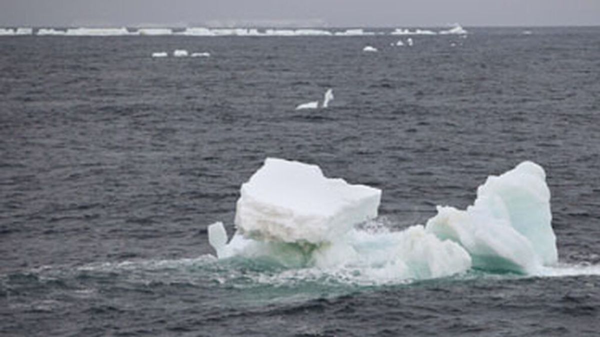 Un estudio del hielo marino de la Antártida en los últimos 10.000 años predice el impacto de los cambios del placton Un estudio del hielo marino de la Antártida en los últimos 10.000 años predice el impacto de los cambios del placton