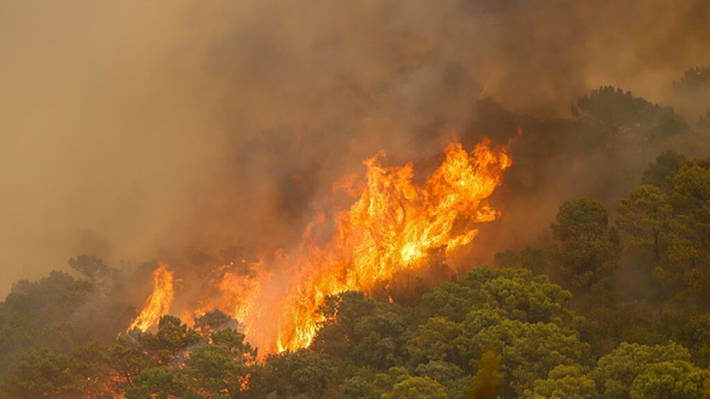 El incendio de Sierra Bermeja está fuera de la capacidad de extinción