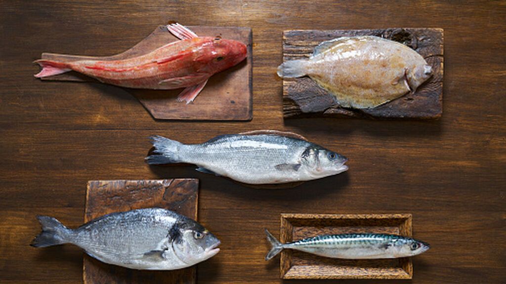 ¿Cuál es el pescado más saludable y cuál debemos evitar?