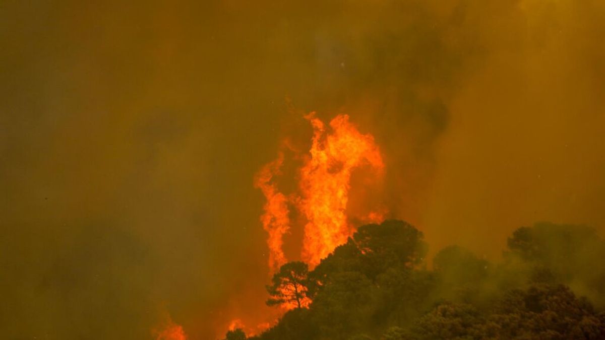 Ordenan el confinamiento de la población de Genalguacil y Jubrique por el incendio de Sierra Bermeja Ordenan el confinamiento de la población de Genalguacil y Jubrique por el incendio de Sierra Bermeja