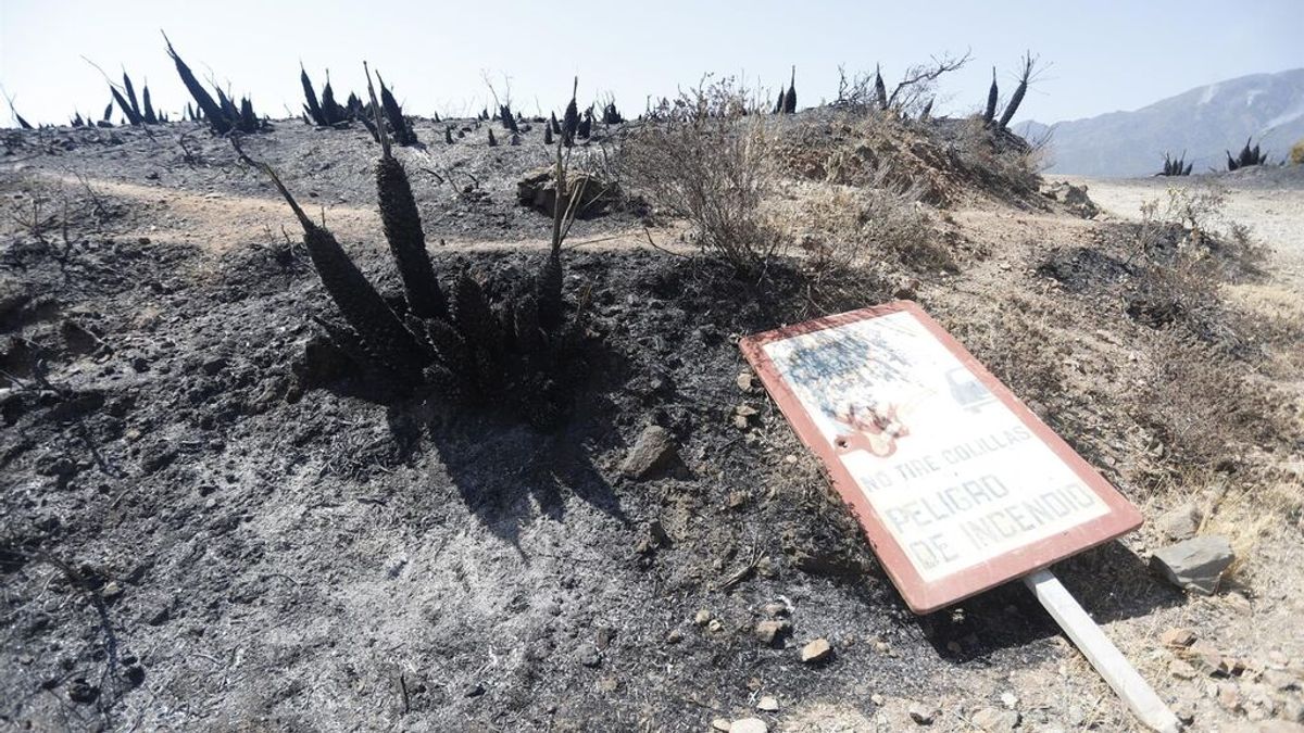 Los restos mortales del bombero fallecido en el incendio de Sierra Bermeja ya se encuentran en Almería Los restos mortales del bombero fallecido en el incendio de Sierra Bermeja ya se encuentran en Almería