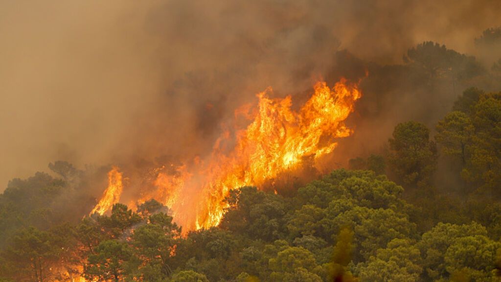 Decretan el desalojo preventivo de Faraján y Pujerra por el incendio de Sierra Bermeja
