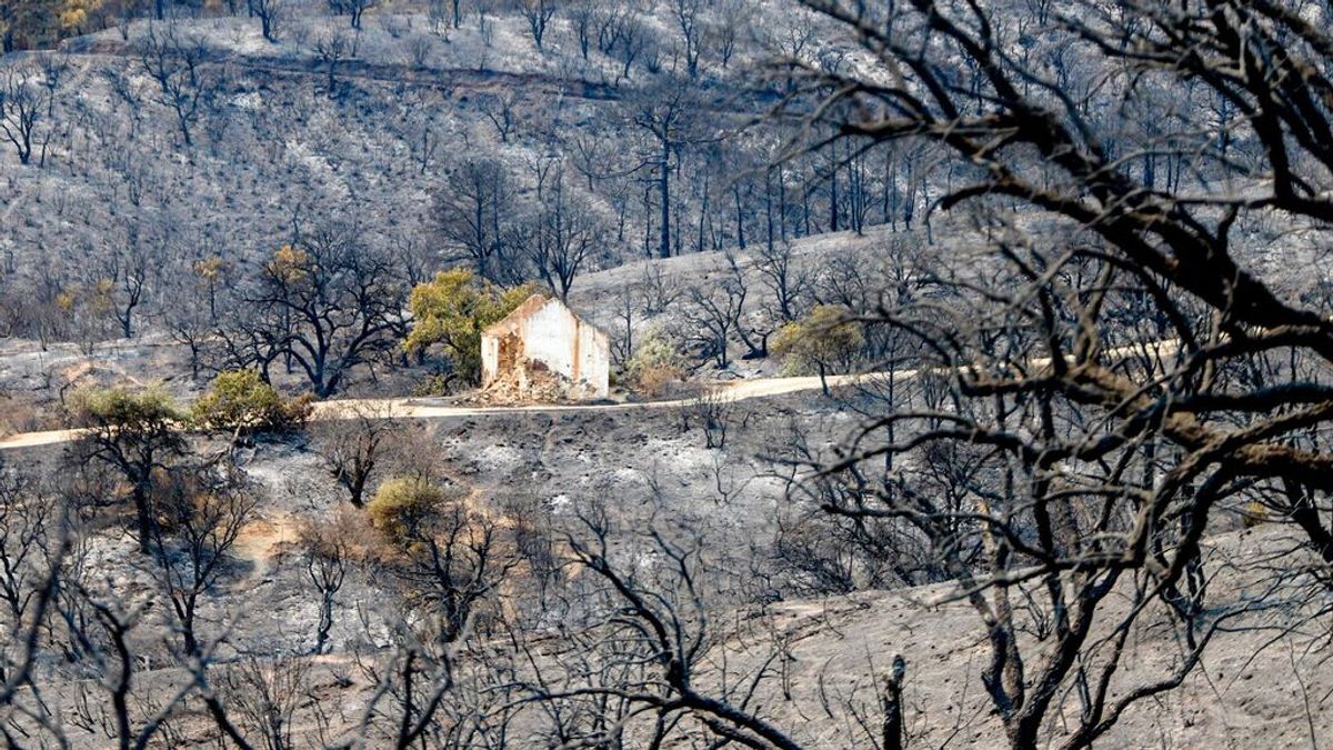Familia y amigos despiden al bombero fallecido en Sierra Bermeja en una ceremonia íntima Familia y amigos despiden al bombero fallecido en Sierra Bermeja en una ceremonia íntima