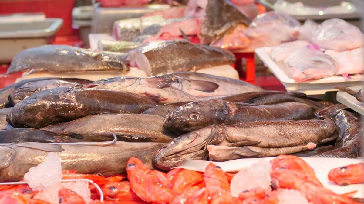 Cómo saber si el pescado es fresco o congelado Cómo saber si el pescado es fresco o congelado