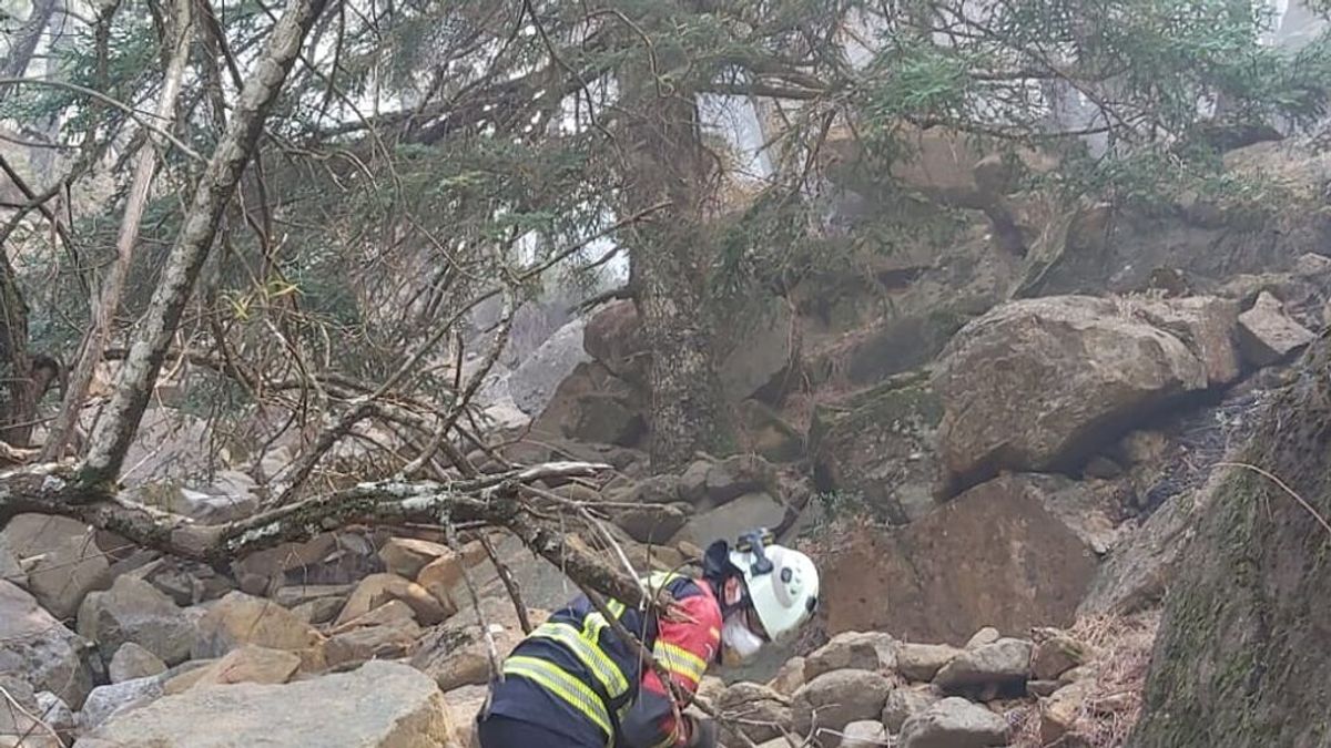 La emoción de los bomberos al salvar pinsapos centenarios entre el caos del incendio de Sierra Bermeja