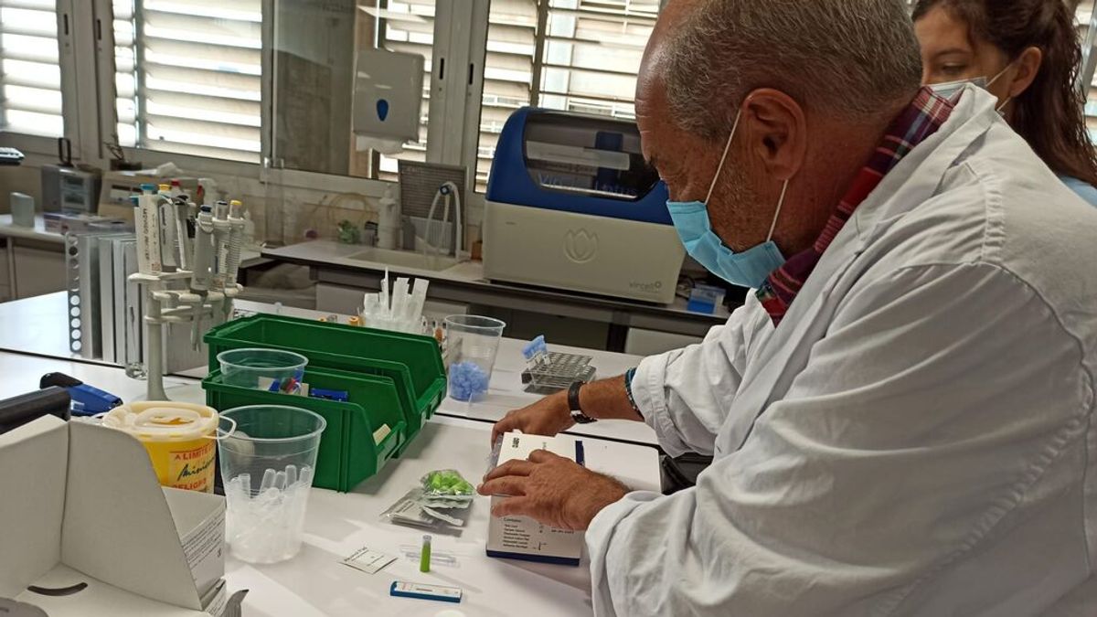 Un estudio realizado en Alicante revela que los vacunados hace seis meses con Pfizer mantienen la inmunidad Un estudio realizado en Alicante revela que los vacunados hace seis meses con Pfizer mantienen la inmunidad