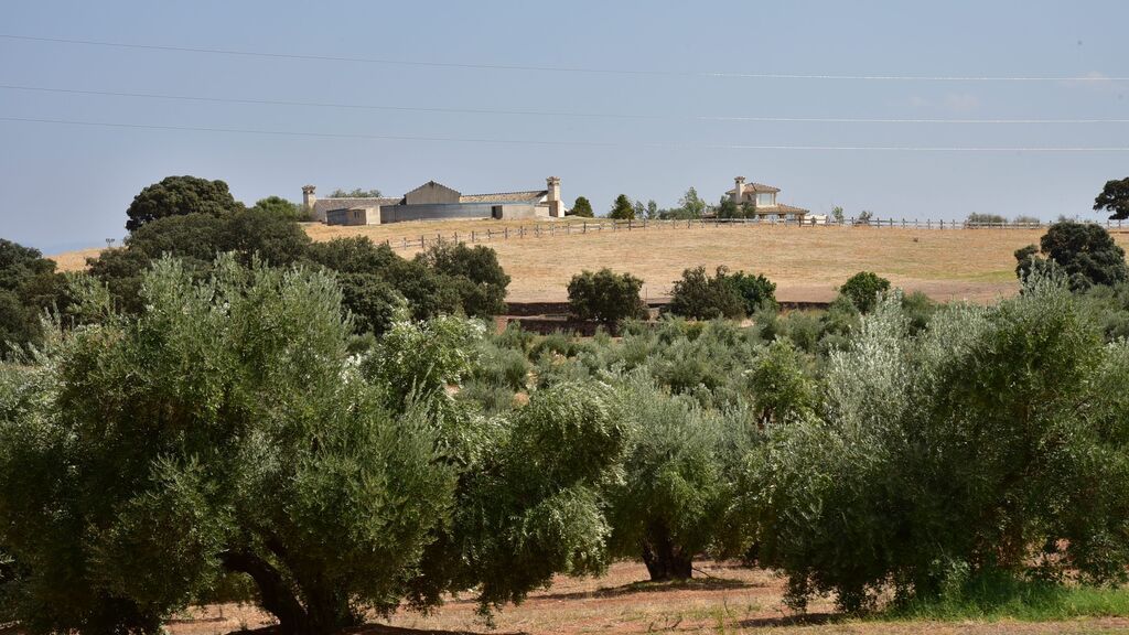 'La Cetrina', finca donde se llevó a cabo la comunión de la hija de Enrique Ponce y Paloma