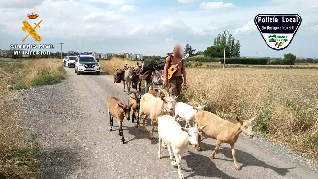 El peregrino francés se fuga con 7 cabras, tres burros y un perro