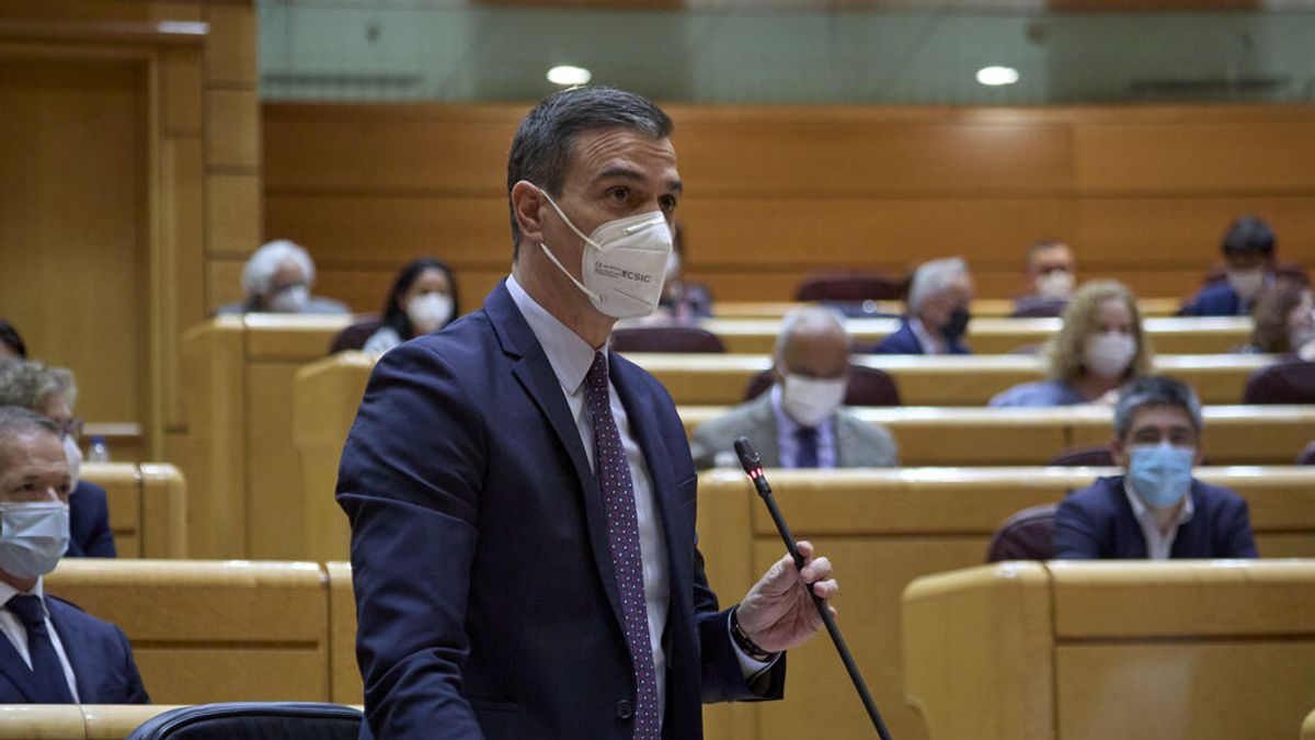 En directo: Sesión de control en el Senado En directo: Sesión de control en el Senado