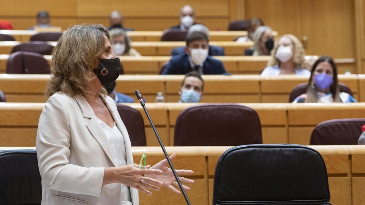 Ribera recuerda a las eléctricas que es "muy probable" que Red Eléctrica no autorice el cierre de las nucleares Ribera recuerda a las eléctricas que es "muy probable" que Red Eléctrica no autorice el cierre de las nucleares