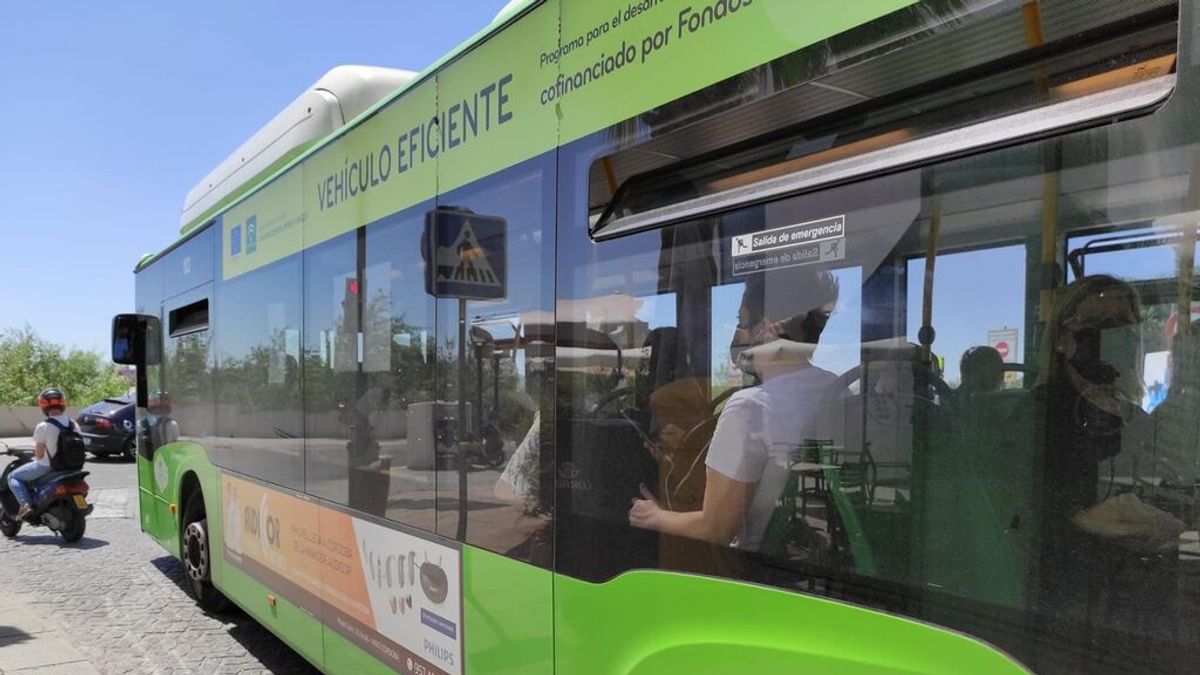 Piden cárcel para un matrimonio de Córdoba acusado de reclamación falsa por supuesta caída en un autobús Piden cárcel para un matrimonio de Córdoba acusado de reclamación falsa por supuesta caída en un autobús