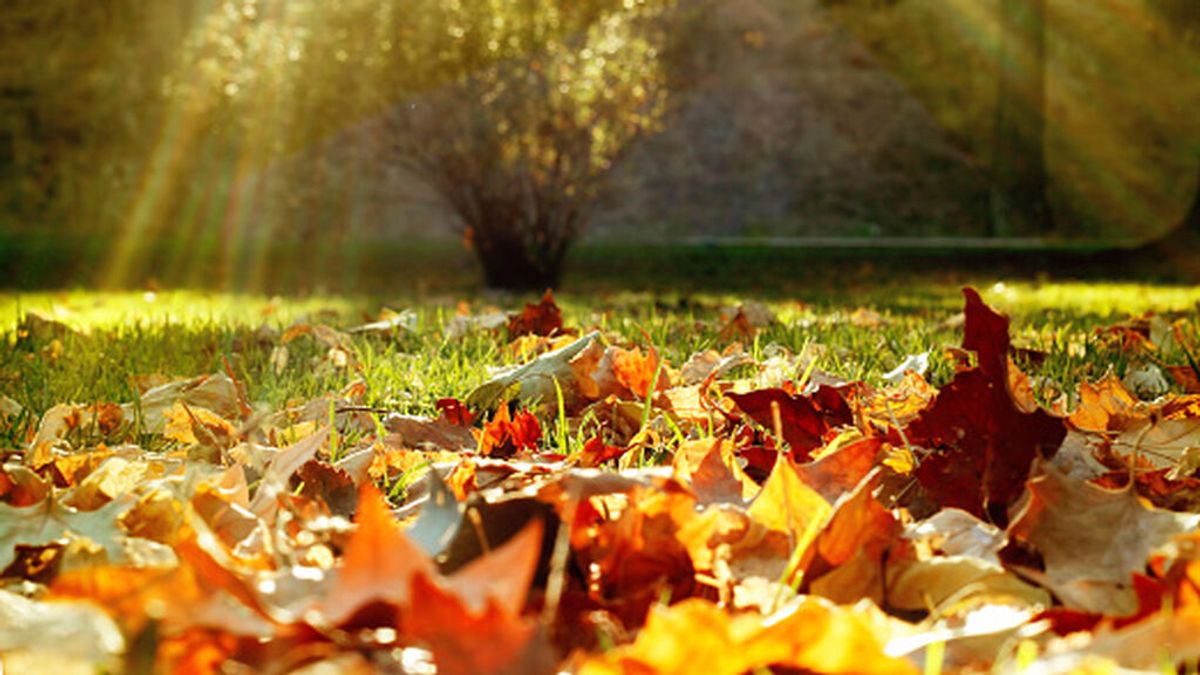 El otoño está a la vuelta de la esquina: ¿cuándo será el equinoccio este año?