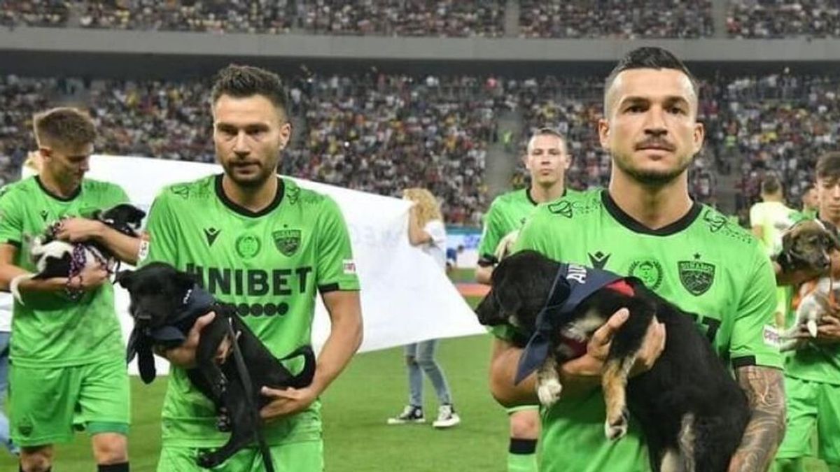 Los equipos de fútbol de Rumanía ofrecen perros en adopción a sus seguidores en cada partido