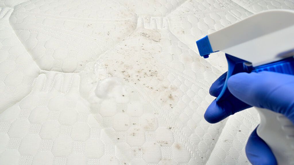 gettyimages-1209470114-170667a