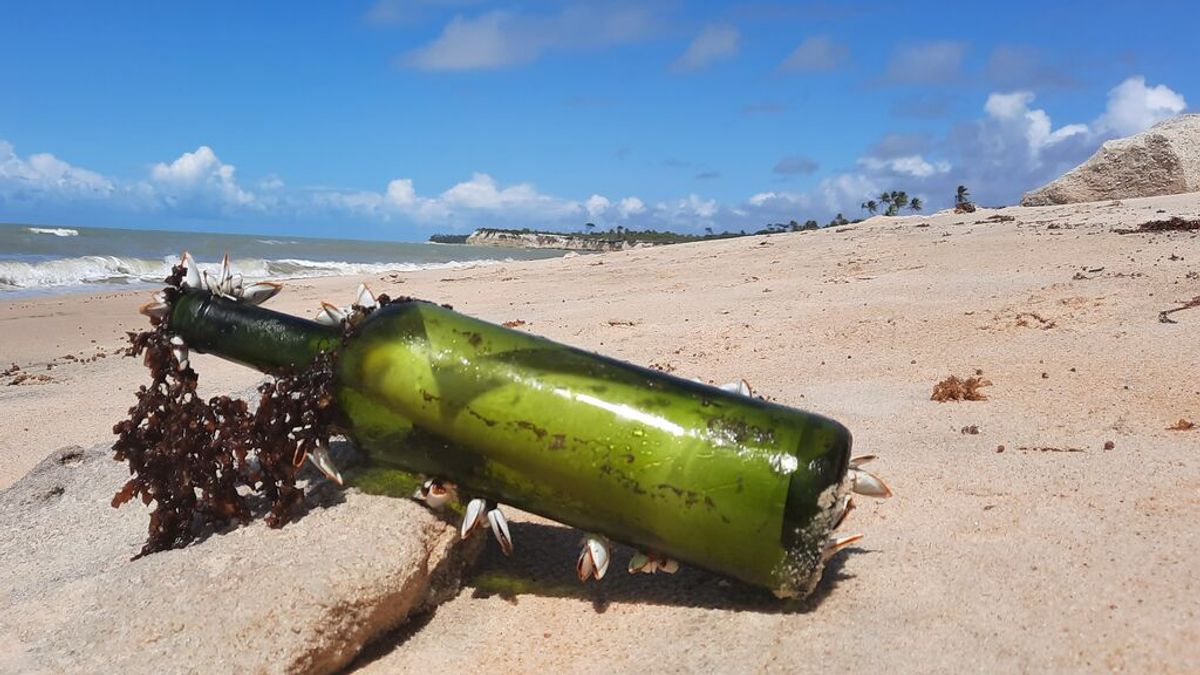 Mensaje en una botella: encuentran en Brasil una nota lanzada al mar hace tres años desde el Juan Sebastián de Elcanoo