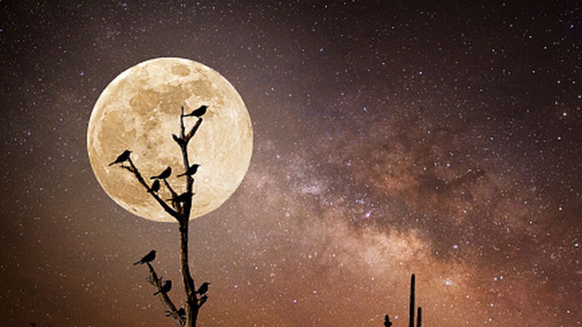 Luna llena de cosecha para despedir el verano: cuándo y cómo verla