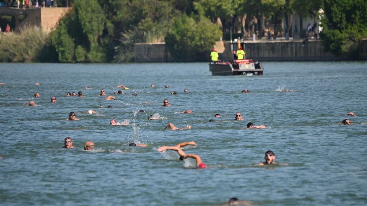 Militares de la UME se tiran al río Guadalquivir en Sevilla para promover la donación de médula Militares de la UME se tiran al río Guadalquivir en Sevilla para promover la donación de médula