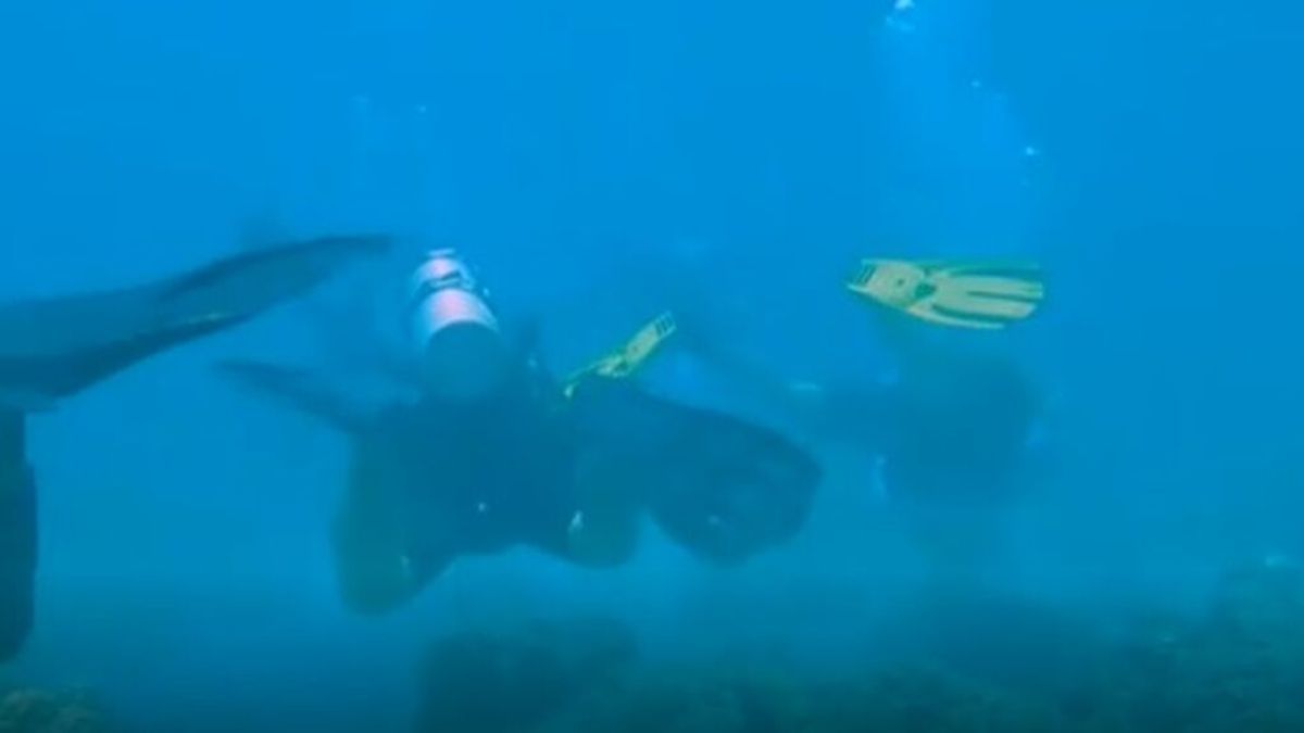 Un grupo de buzos limpia de basura los corales marinos del fondo del mar en Filipinas