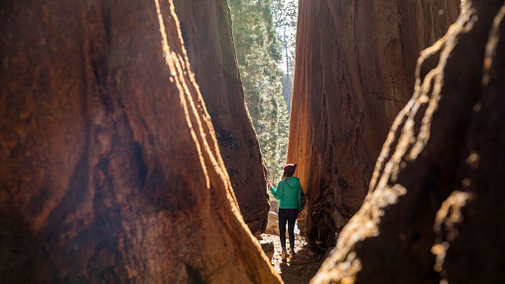 gettyimages-1283081357-170667a