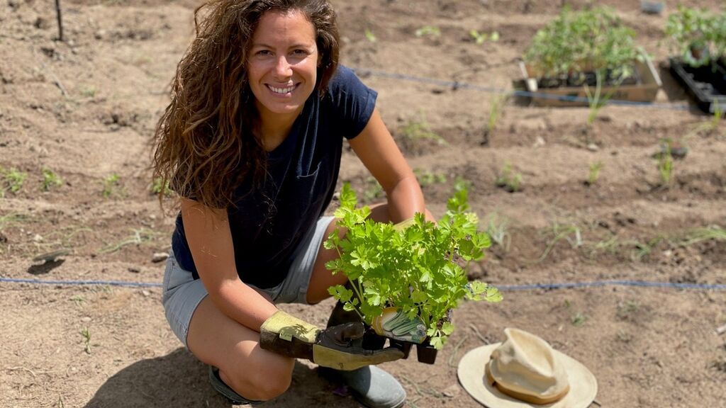 Mi huerta ecológica en verano