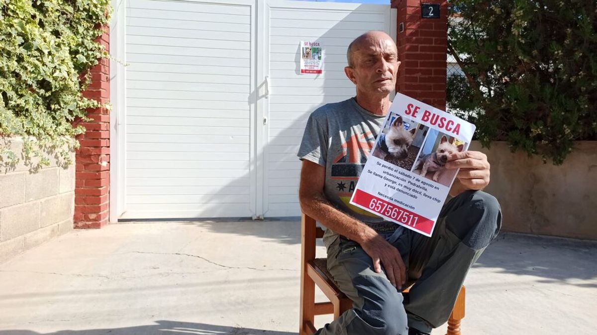 Vicente busca a George, su pequeño Yorkshire: “Es todo para él, su ilusión y la terapia para la enfermedad que sufre” Vicente busca a George, su pequeño Yorkshire: “Es todo para él, su ilusión y la terapia para la enfermedad que sufre”