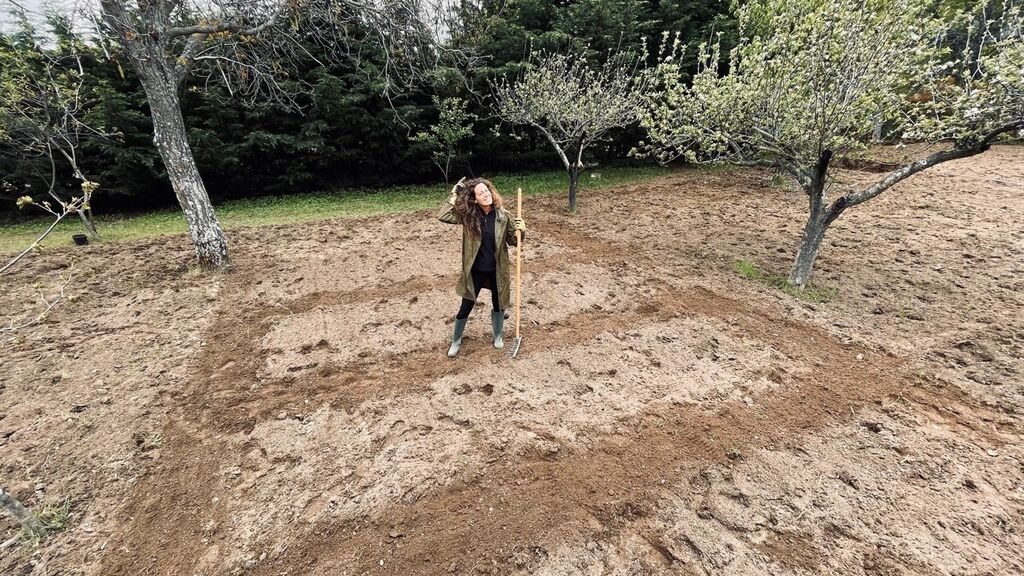 Mi huerta ecológica en verano