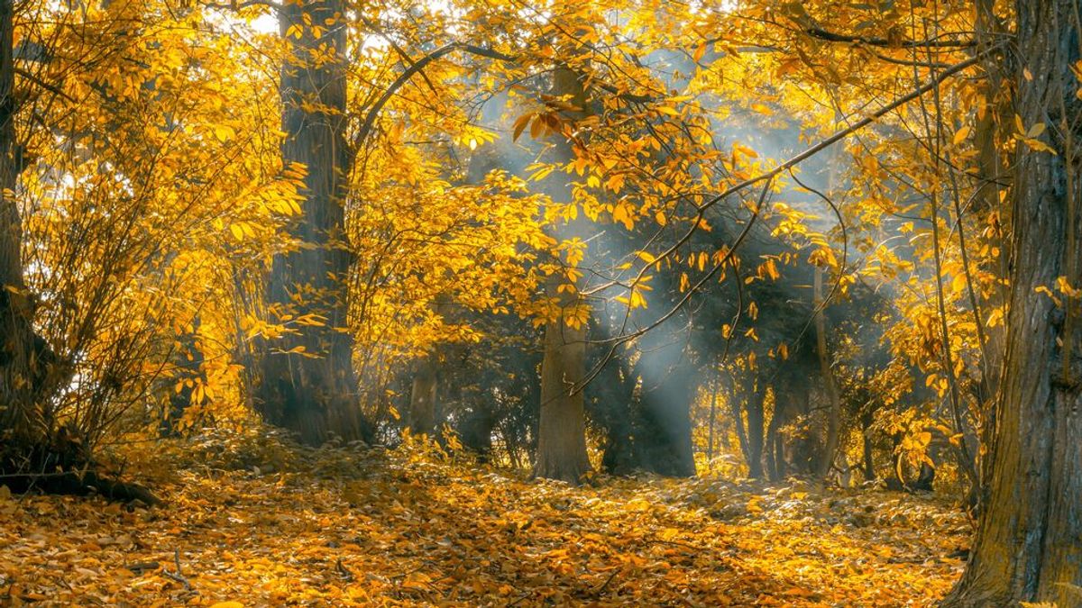 Diez planes para disfrutar del otoño Diez planes para disfrutar del otoño