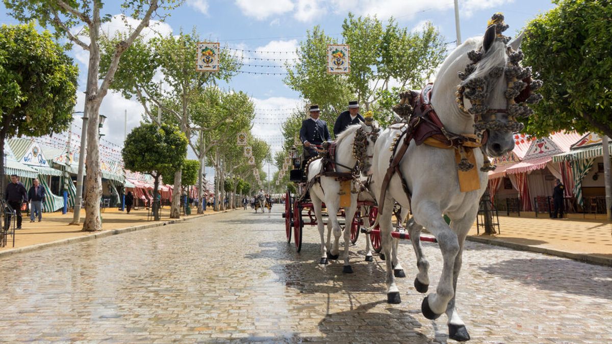 Los enganches vuelven ya a Sevilla con la exhibición de carruajes Los enganches vuelven ya a Sevilla con la exhibición de carruajes