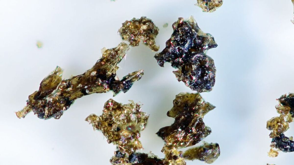 Microfotografía de ceniza volcánica Microfotografía de ceniza volcánica