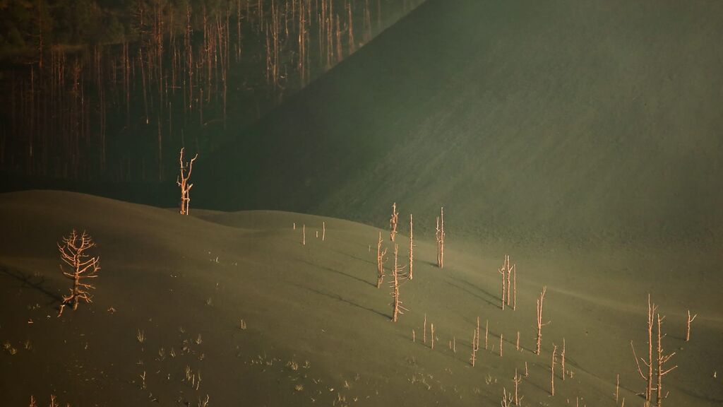 La devastación del volcán de La Palma