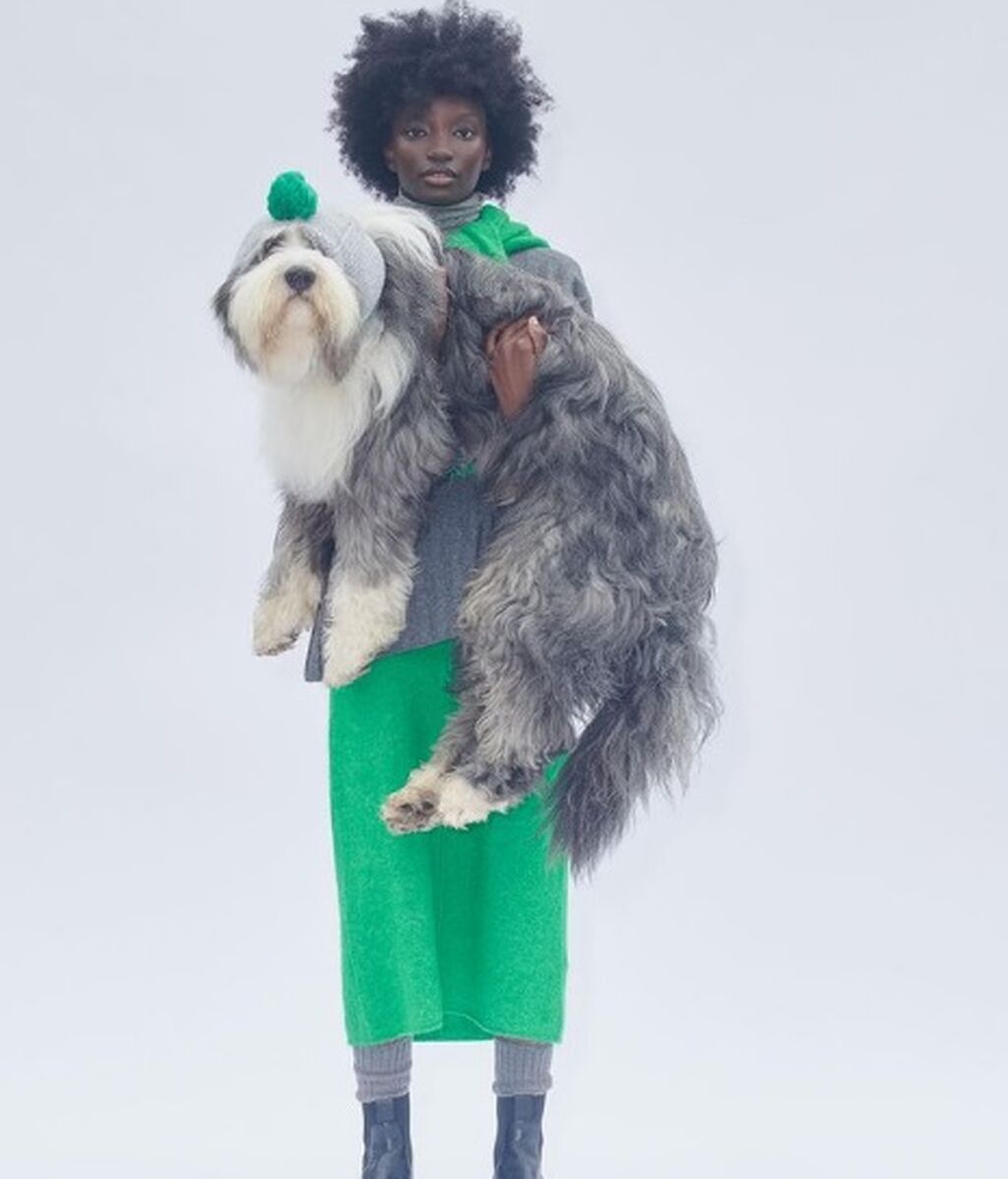 Colección para mascotas de Zara