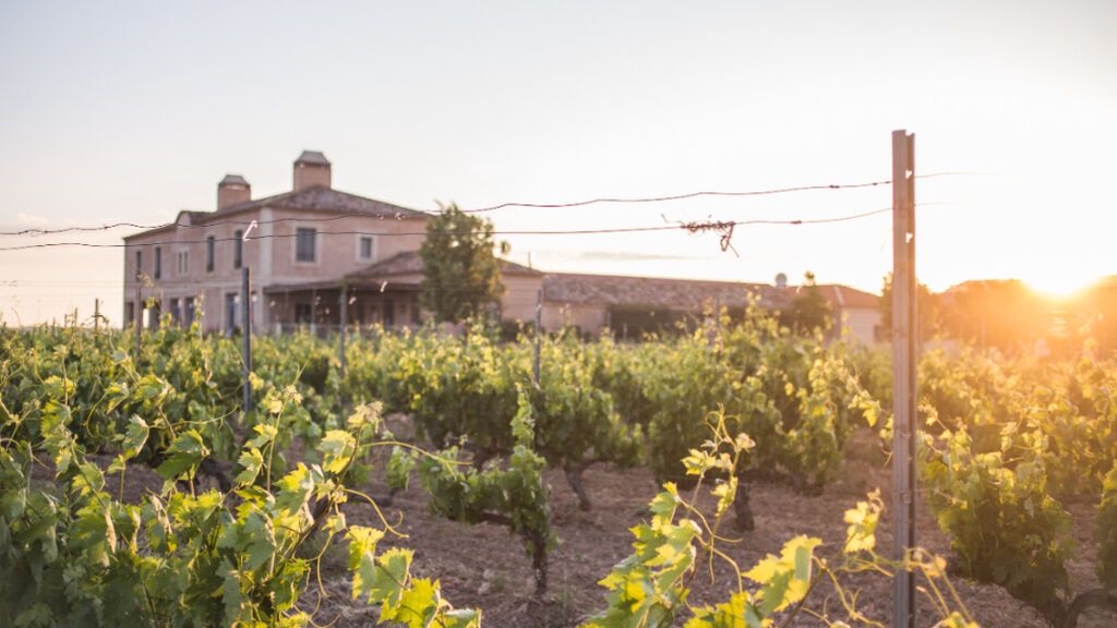 Viñedos y bodega Alonso del Yerro