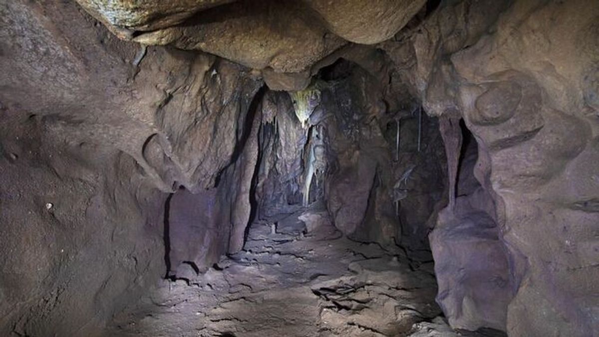 Descubren en Gibraltar una cueva sellada hace 40.000: ¿Qué hay dentro?